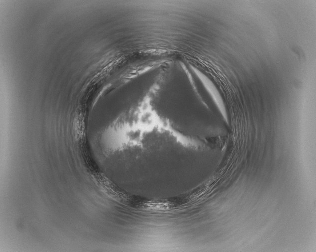 X0000116010606200912031531
