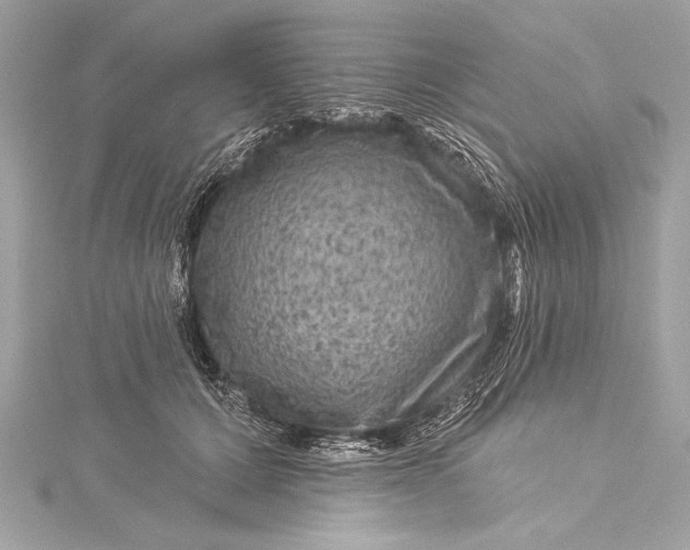 X0000116010607200912031531