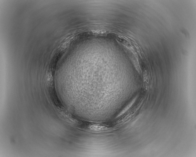 X0000116010614200912031531