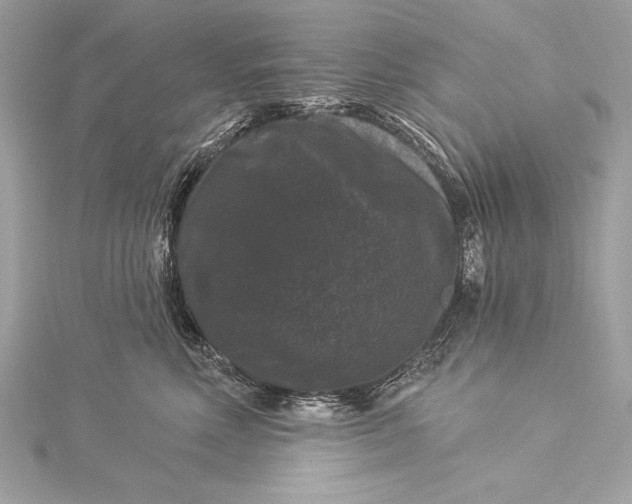 X0000116010618200912031531