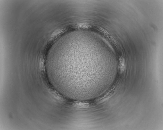 X0000116010619200912031531