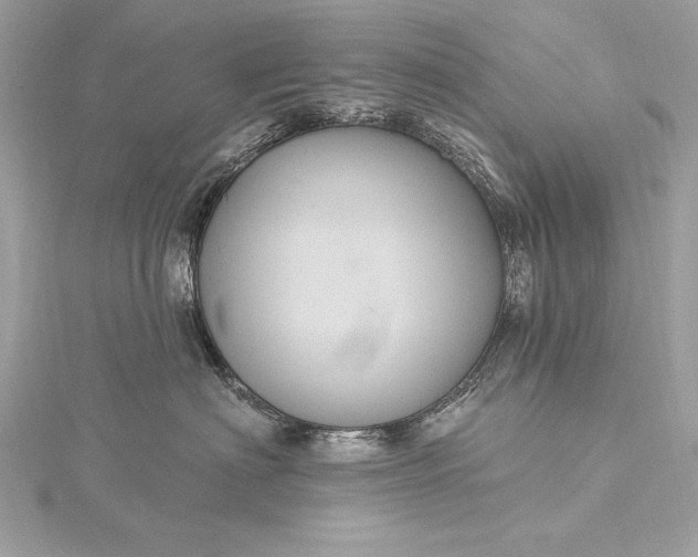 X0000116010622200912031531