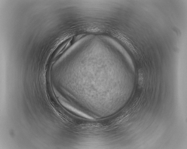 X0000116010626200912031530