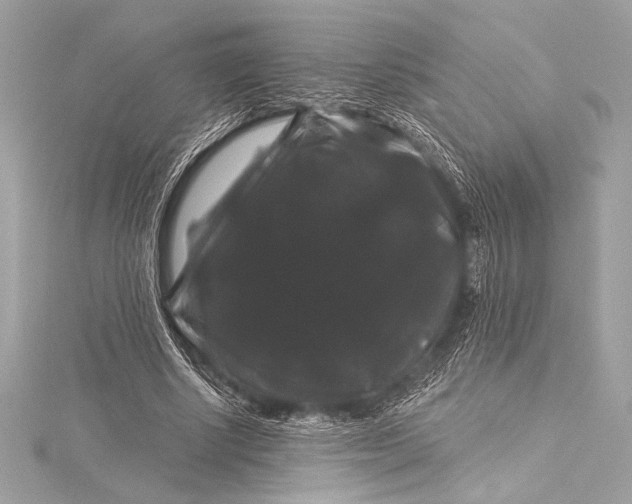 X0000116010634200912031530