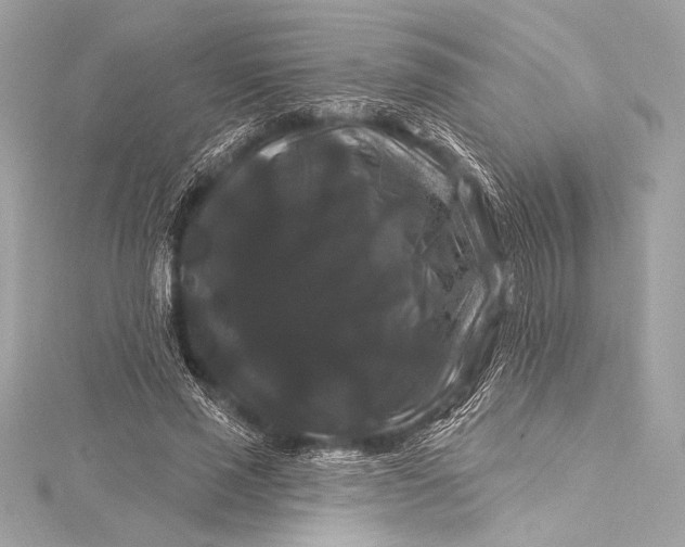 X0000116010637200912031530