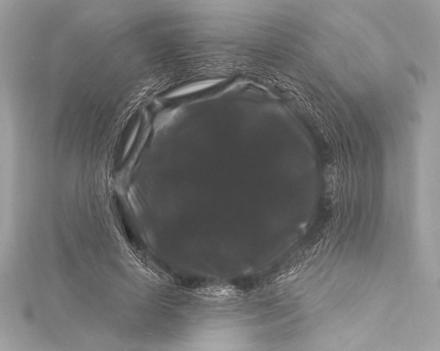 X0000116010642200912031530