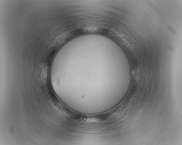 X0000116010645200912031530