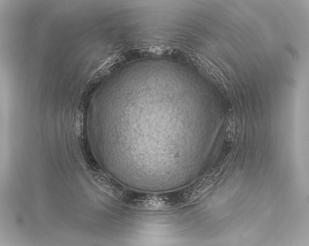 X0000116010656200912031530