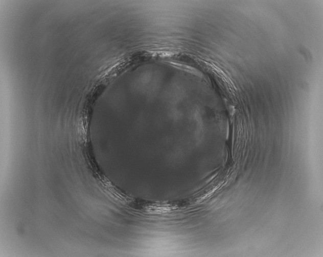 X0000116010661200912031531