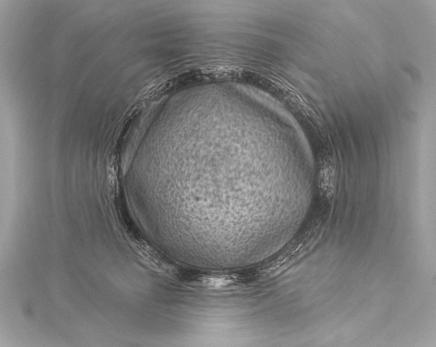 X0000116010662200912031531