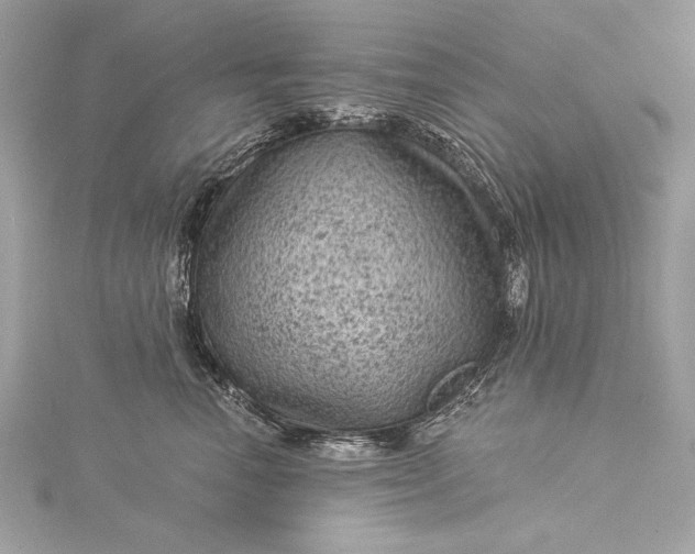 X0000116010666200912031531