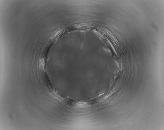 X0000116010669200912031531