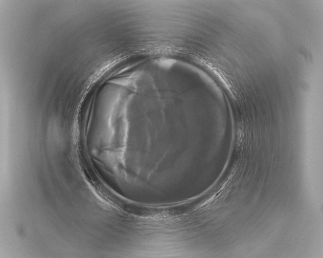 X0000116010674200912031530