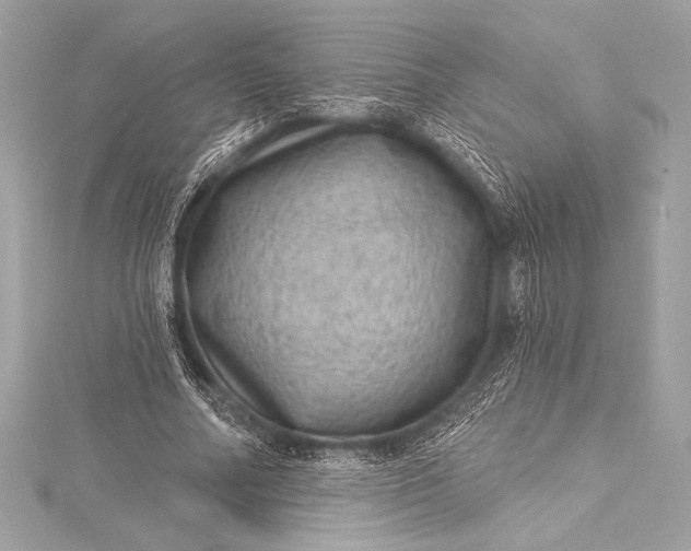 X0000116010682200912031530