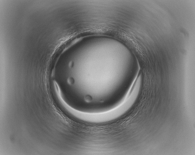 X0000116010688200912031530