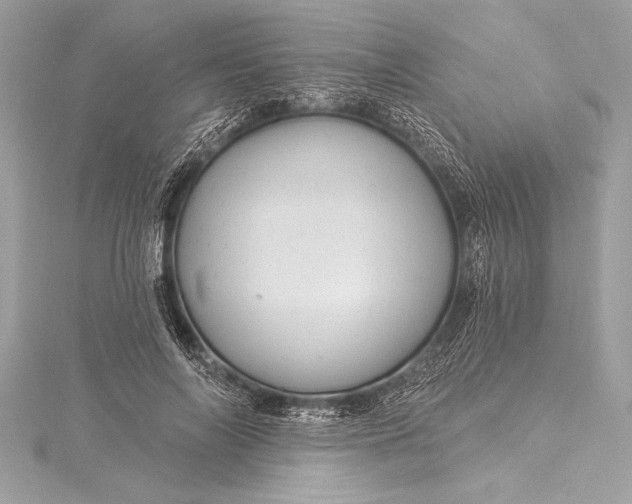 X0000116010694200912031530