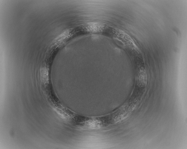 X0000116010696200912031530