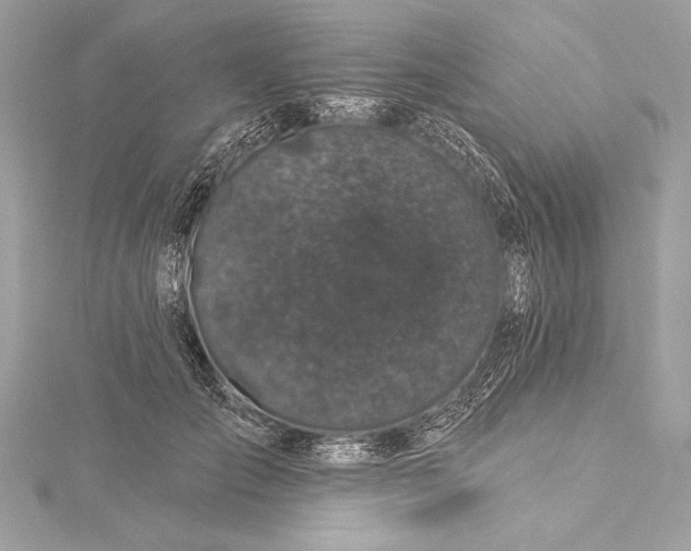 X0000116010701200912031530