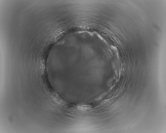 X0000116010707200912031530