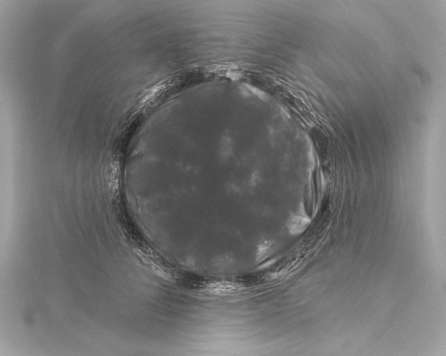 X0000116010708200912031530