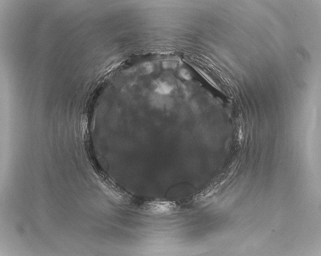 X0000116010711200912031530