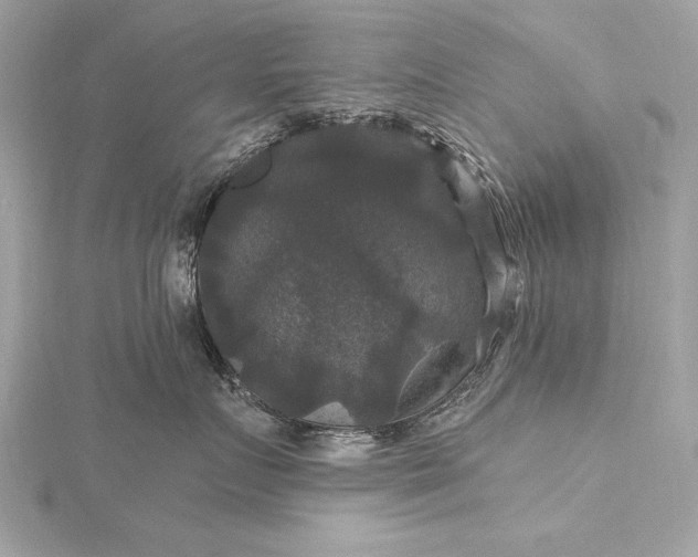 X0000116010719200912031529