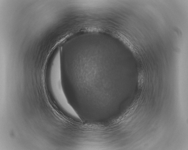 X0000116010722200912031529
