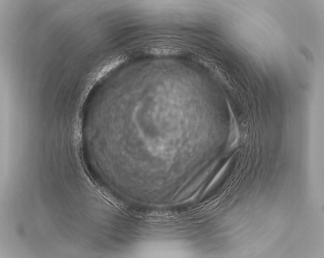 X0000116010727200912031529