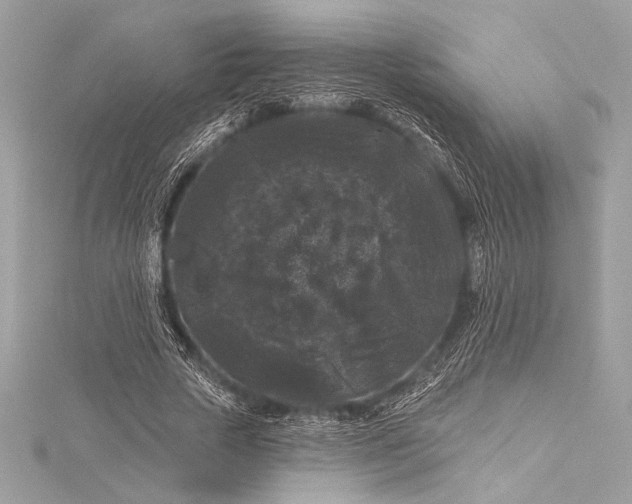 X0000116010729200912031529
