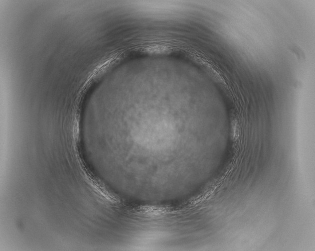 X0000116010733200912031529
