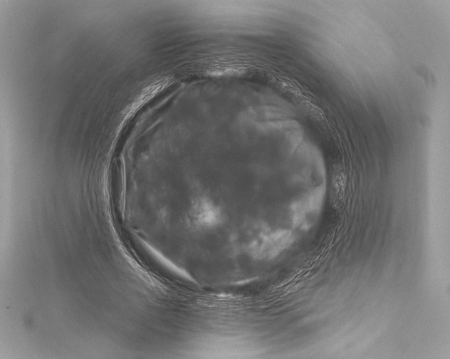 X0000116010734200912031529