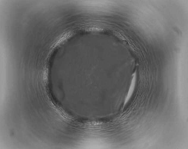 X0000116010735200912031529