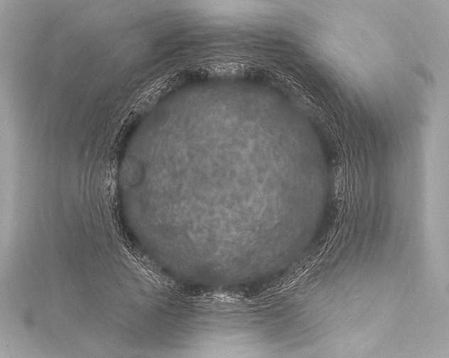 X0000116010737200912031529