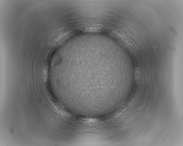 X0000116010741200912031529