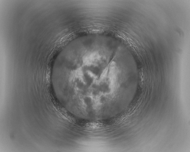 X0000116010745200912031529