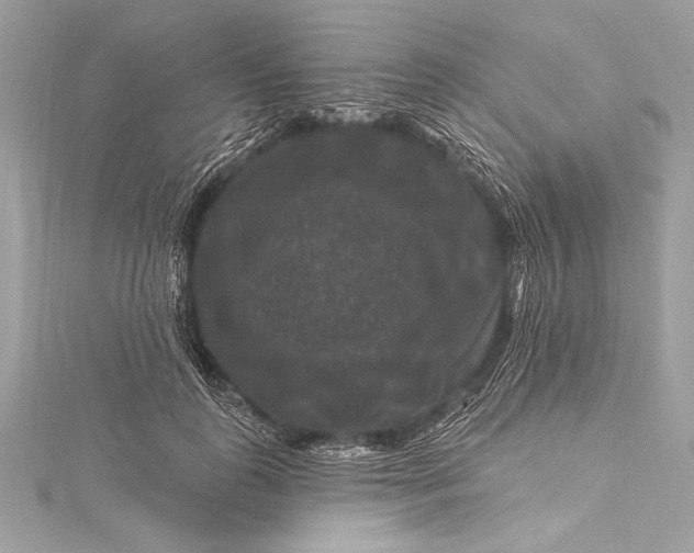 X0000116010747200912031529