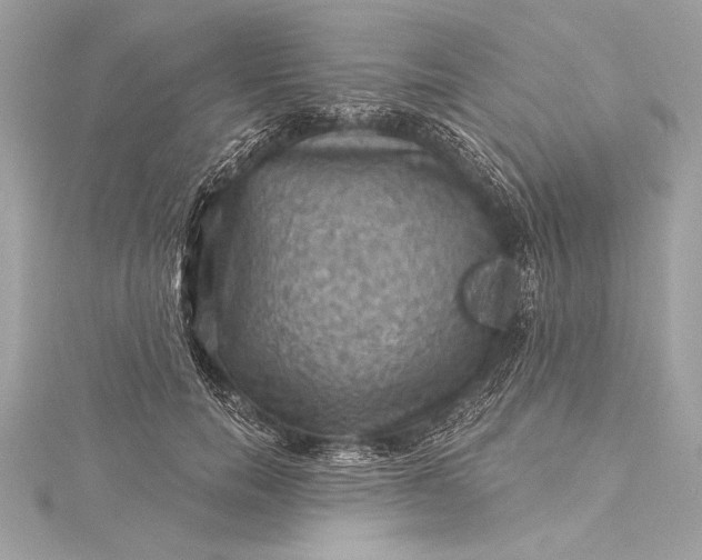 X0000116010750200912031529