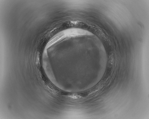 X0000116010754200912031529
