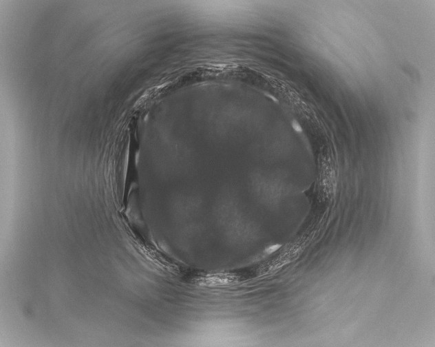 X0000116010758200912031529