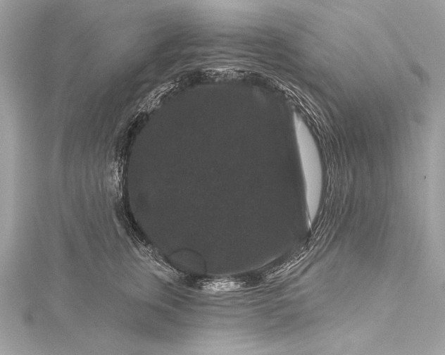 X0000116010759200912031529