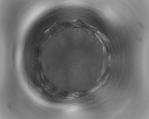 X0000116010765200912031529