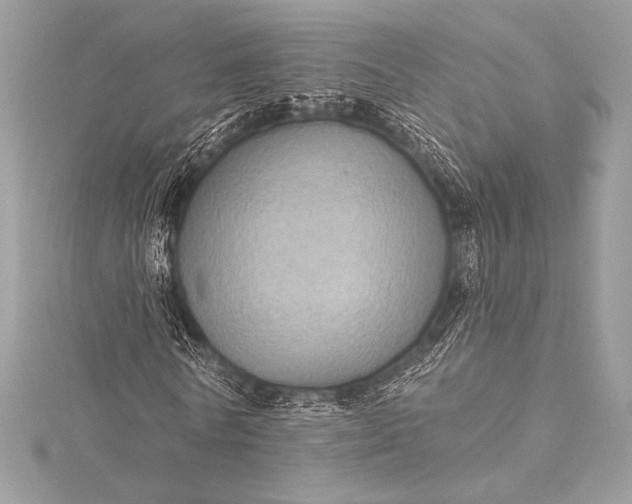 X0000116010770200912031529