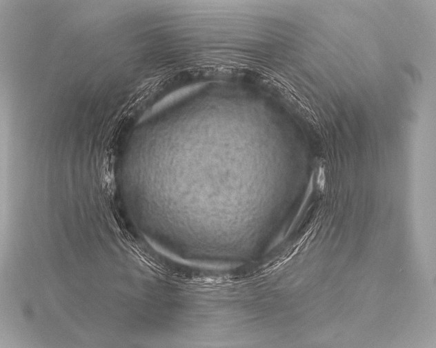 X0000116010771200912031529