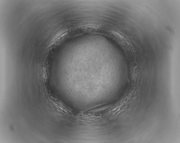 X0000116010774200912031529