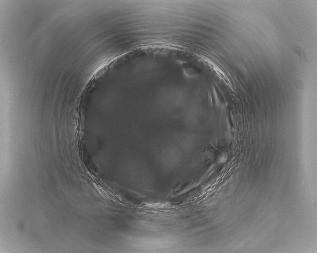 X0000116010775200912031529