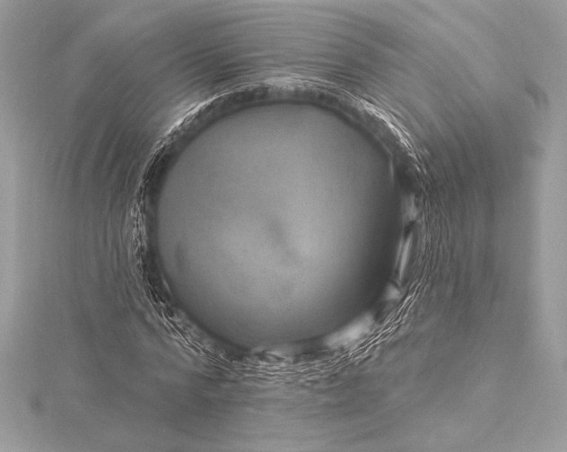 X0000116010776200912031529