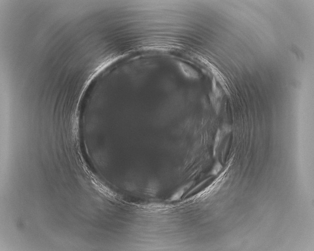X0000116010779200912031529
