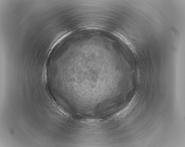 X0000116010782200912031528