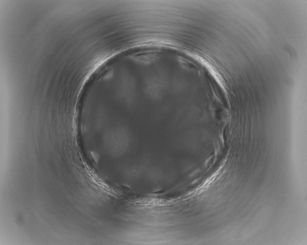 X0000116010783200912031528