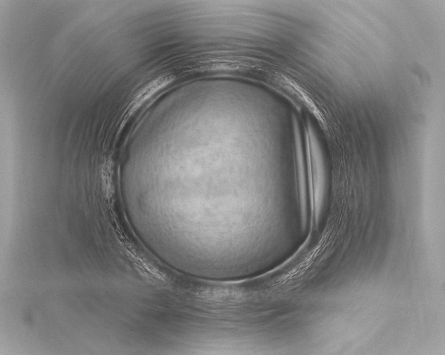 X0000116010786200912031528